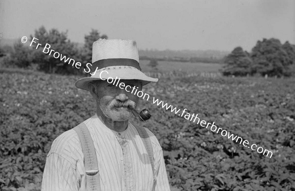 IN THE POTATO FIELD